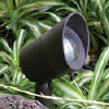 DL-21-BLT